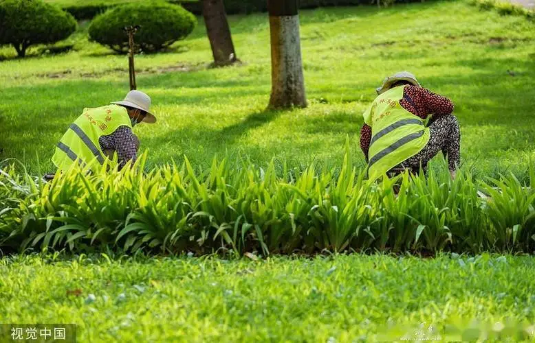 kaiyun电竞平台：解压助眠小游戏入口抖音小程序