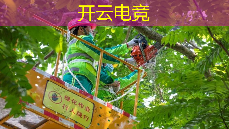 浪哥解说游戏植物大战僵尸3d版