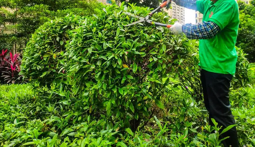 游戏小程序水晶手链怎么做