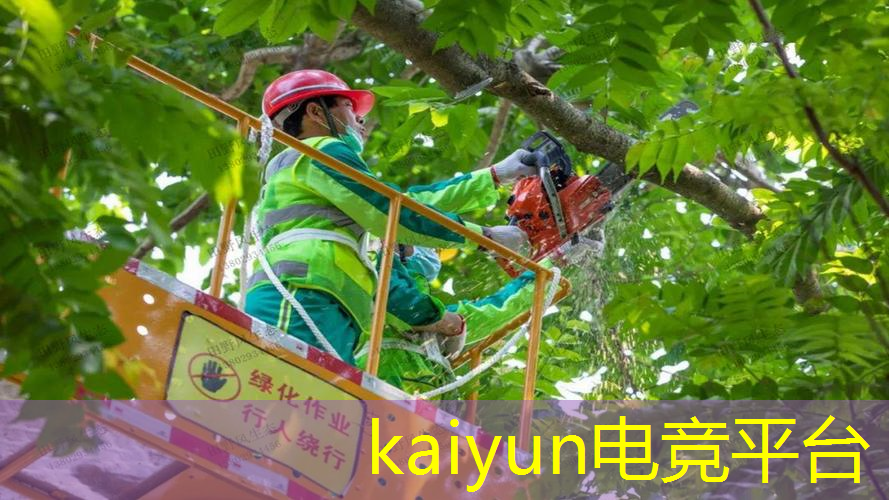 如何入选职业电竞选手的条件