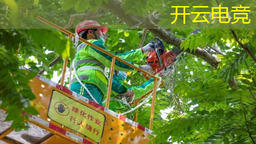 集团公司青年电竞大赛：有何看点和参赛须知？